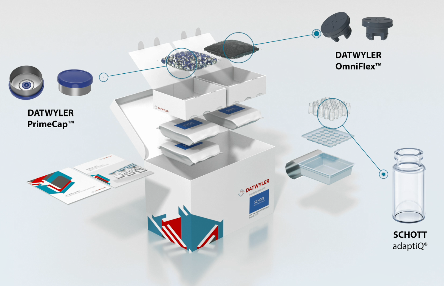 StarterPack Animation Final